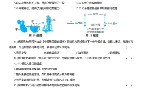 2026年中考生物复习专题练习：专题十五消化系统（含答案）_6生物中考复习_2026年中考复习（更新中）_2026年中考生物一轮复习专题练习（含答案）
