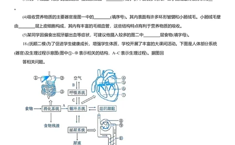 2026年中考生物复习专题练习：专题十五消化系统（含答案）_6生物中考复习_2026年中考复习（更新中）_2026年中考生物一轮复习专题练习（含答案）