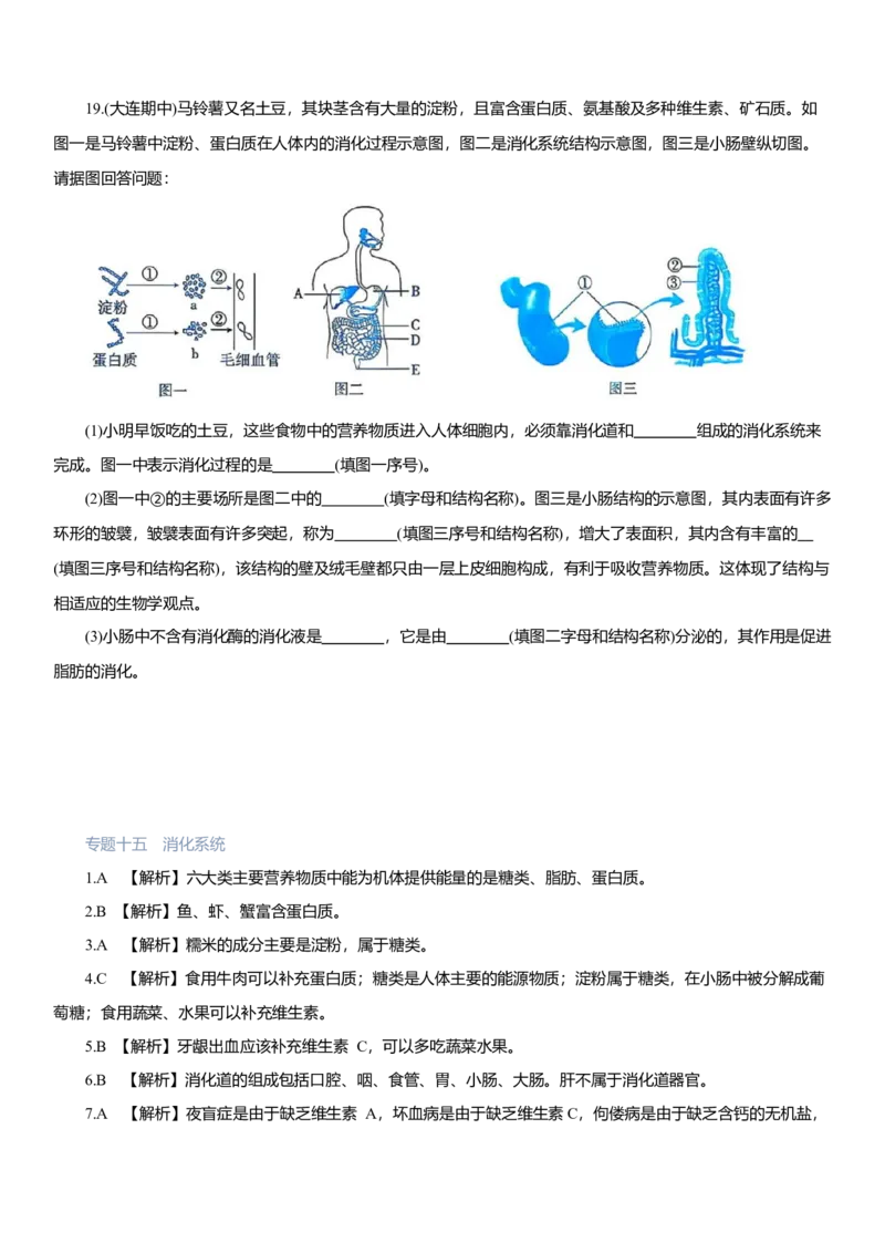 2026年中考生物复习专题练习：专题十五消化系统（含答案）_6生物中考复习_2026年中考复习（更新中）_2026年中考生物一轮复习专题练习（含答案）