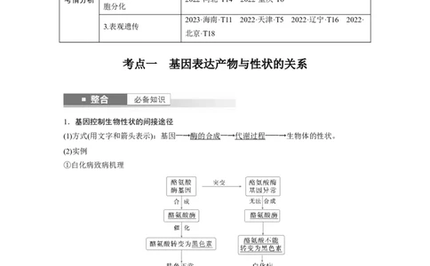 第六单元　第32课时　基因表达与性状的关系_2025年新高考资料_一轮复习_2025大一轮复习讲义+课件（完结）_2025大一轮复习讲义生物教师用书Word版文档整书