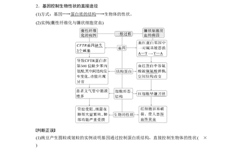 第六单元　第32课时　基因表达与性状的关系_2025年新高考资料_一轮复习_2025大一轮复习讲义+课件（完结）_2025大一轮复习讲义生物教师用书Word版文档整书
