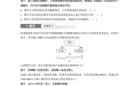 第六单元　第32课时　基因表达与性状的关系_2025年新高考资料_一轮复习_2025大一轮复习讲义+课件（完结）_2025大一轮复习讲义生物教师用书Word版文档整书