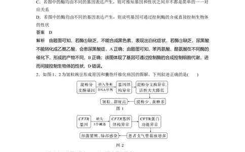 第六单元　第32课时　基因表达与性状的关系_2025年新高考资料_一轮复习_2025大一轮复习讲义+课件（完结）_2025大一轮复习讲义生物教师用书Word版文档整书