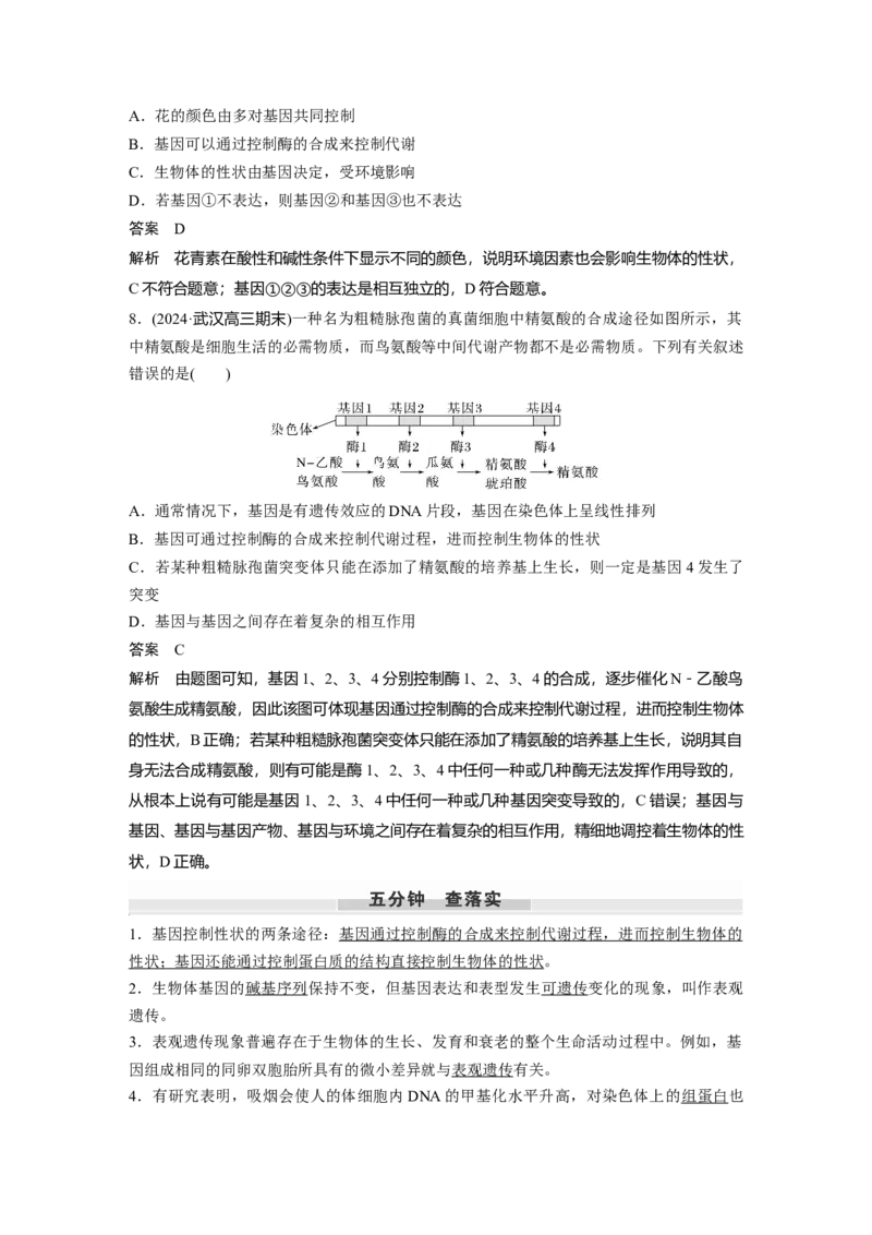 第六单元　第32课时　基因表达与性状的关系_2025年新高考资料_一轮复习_2025大一轮复习讲义+课件（完结）_2025大一轮复习讲义生物教师用书Word版文档整书
