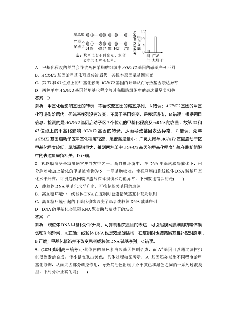第六单元　第32课时　基因表达与性状的关系_2025年新高考资料_一轮复习_2025大一轮复习讲义+课件（完结）_2025大一轮复习讲义生物教师用书Word版文档整书