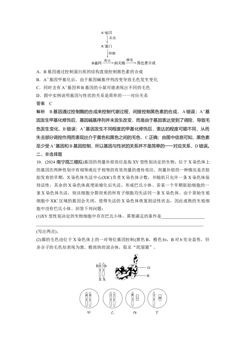 第六单元　第32课时　基因表达与性状的关系_2025年新高考资料_一轮复习_2025大一轮复习讲义+课件（完结）_2025大一轮复习讲义生物教师用书Word版文档整书