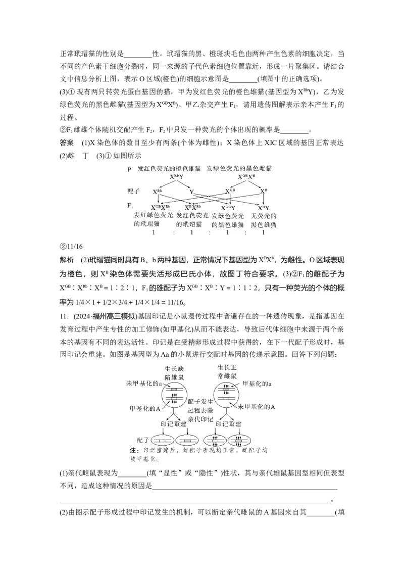 第六单元　第32课时　基因表达与性状的关系_2025年新高考资料_一轮复习_2025大一轮复习讲义+课件（完结）_2025大一轮复习讲义生物教师用书Word版文档整书