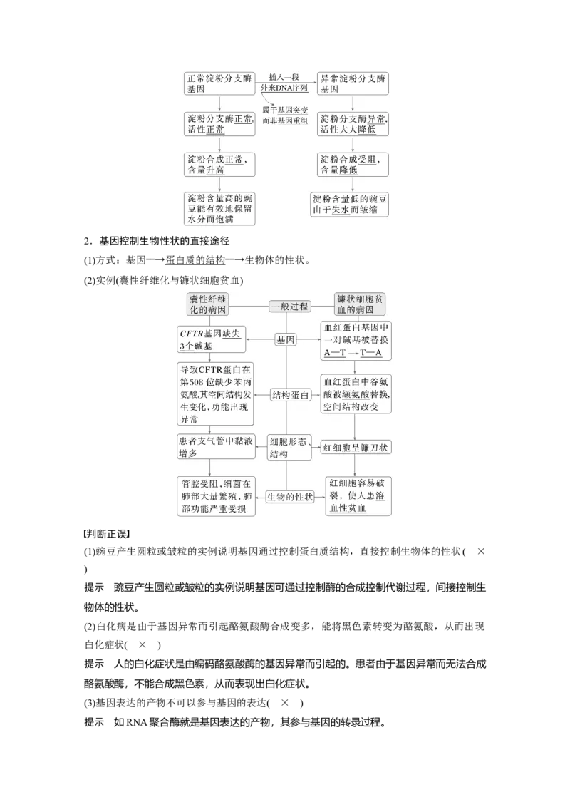 第六单元　第32课时　基因表达与性状的关系_2025年新高考资料_一轮复习_2025大一轮复习讲义+课件（完结）_2025大一轮复习讲义生物教师用书Word版文档整书