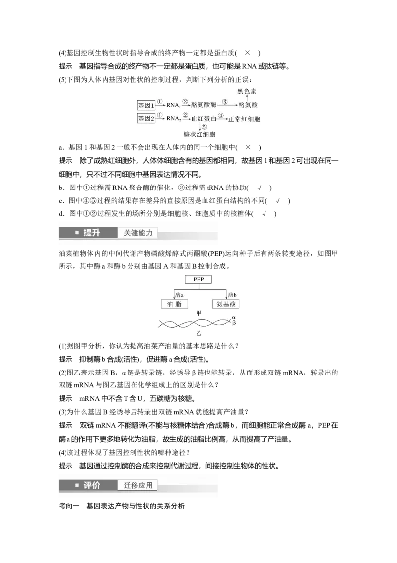 第六单元　第32课时　基因表达与性状的关系_2025年新高考资料_一轮复习_2025大一轮复习讲义+课件（完结）_2025大一轮复习讲义生物教师用书Word版文档整书
