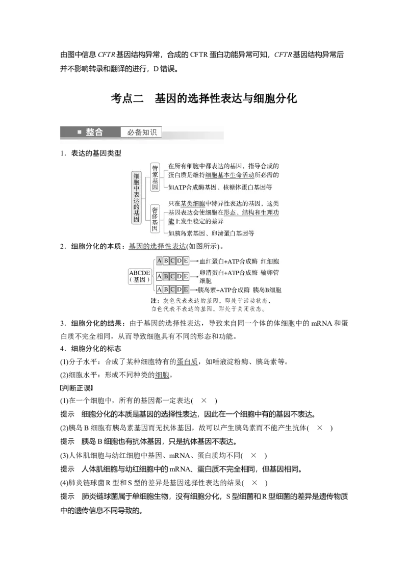 第六单元　第32课时　基因表达与性状的关系_2025年新高考资料_一轮复习_2025大一轮复习讲义+课件（完结）_2025大一轮复习讲义生物教师用书Word版文档整书