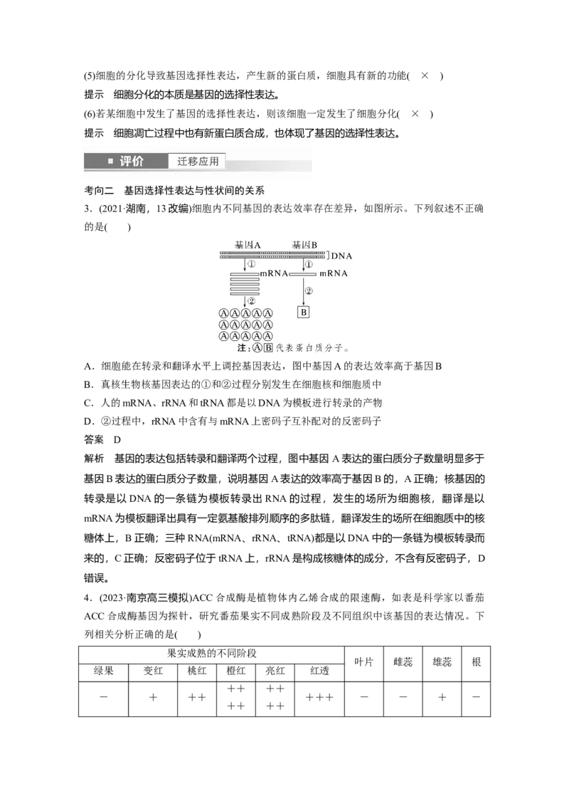 第六单元　第32课时　基因表达与性状的关系_2025年新高考资料_一轮复习_2025大一轮复习讲义+课件（完结）_2025大一轮复习讲义生物教师用书Word版文档整书