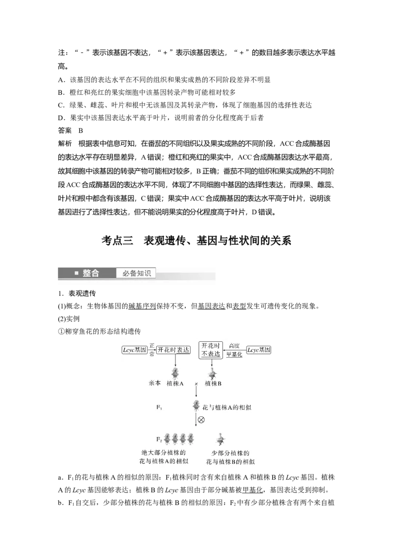 第六单元　第32课时　基因表达与性状的关系_2025年新高考资料_一轮复习_2025大一轮复习讲义+课件（完结）_2025大一轮复习讲义生物教师用书Word版文档整书