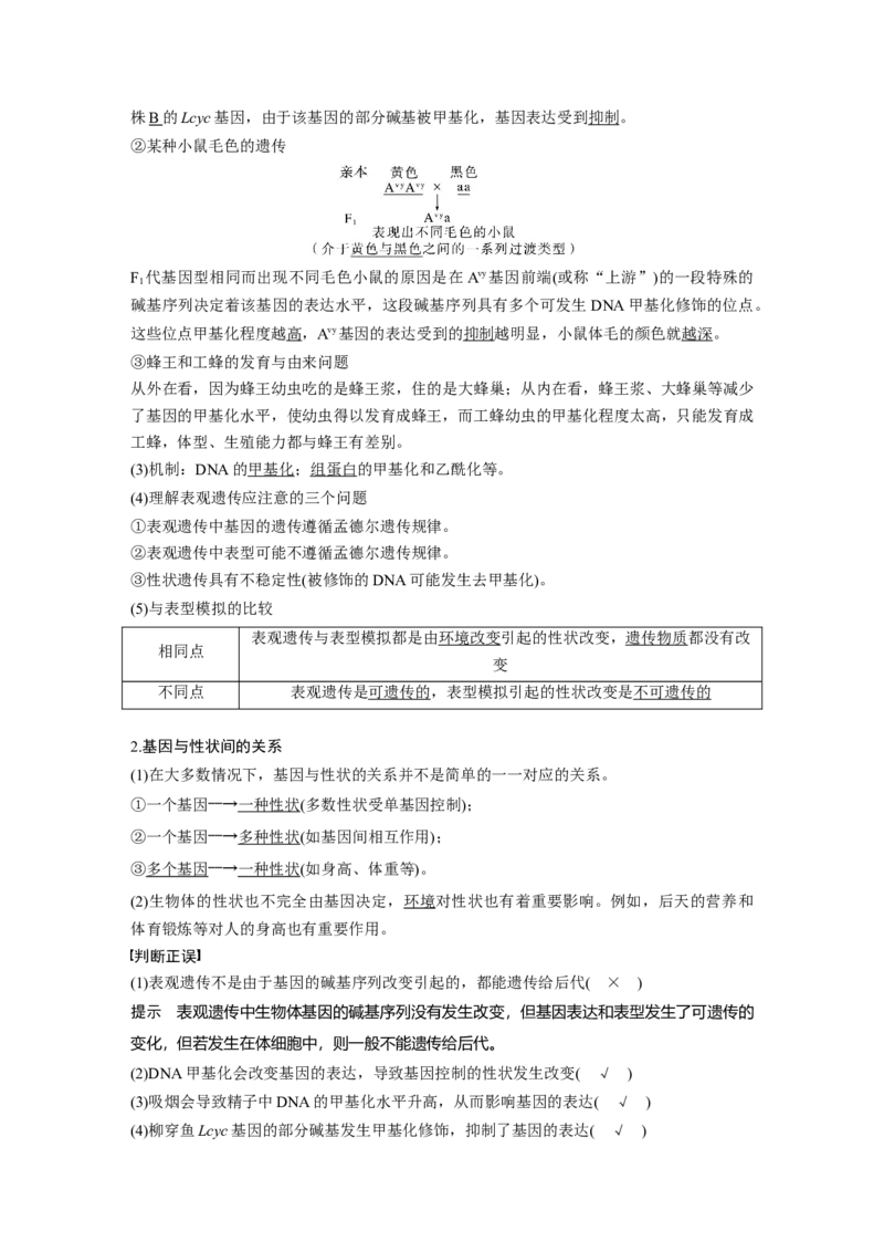 第六单元　第32课时　基因表达与性状的关系_2025年新高考资料_一轮复习_2025大一轮复习讲义+课件（完结）_2025大一轮复习讲义生物教师用书Word版文档整书