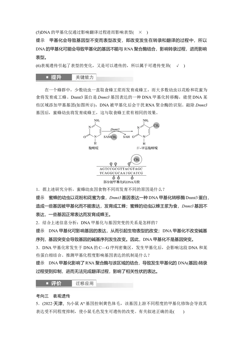 第六单元　第32课时　基因表达与性状的关系_2025年新高考资料_一轮复习_2025大一轮复习讲义+课件（完结）_2025大一轮复习讲义生物教师用书Word版文档整书