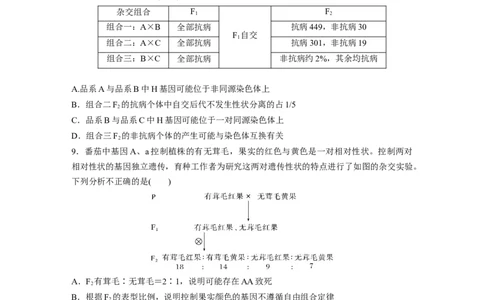 第五单元专题突破7探究不同对基因在常染色体上的位置_2025年新高考资料_一轮复习_2025大一轮复习讲义+课件（完结）_2025大一轮复习讲义生物学生用书Word版文档整书