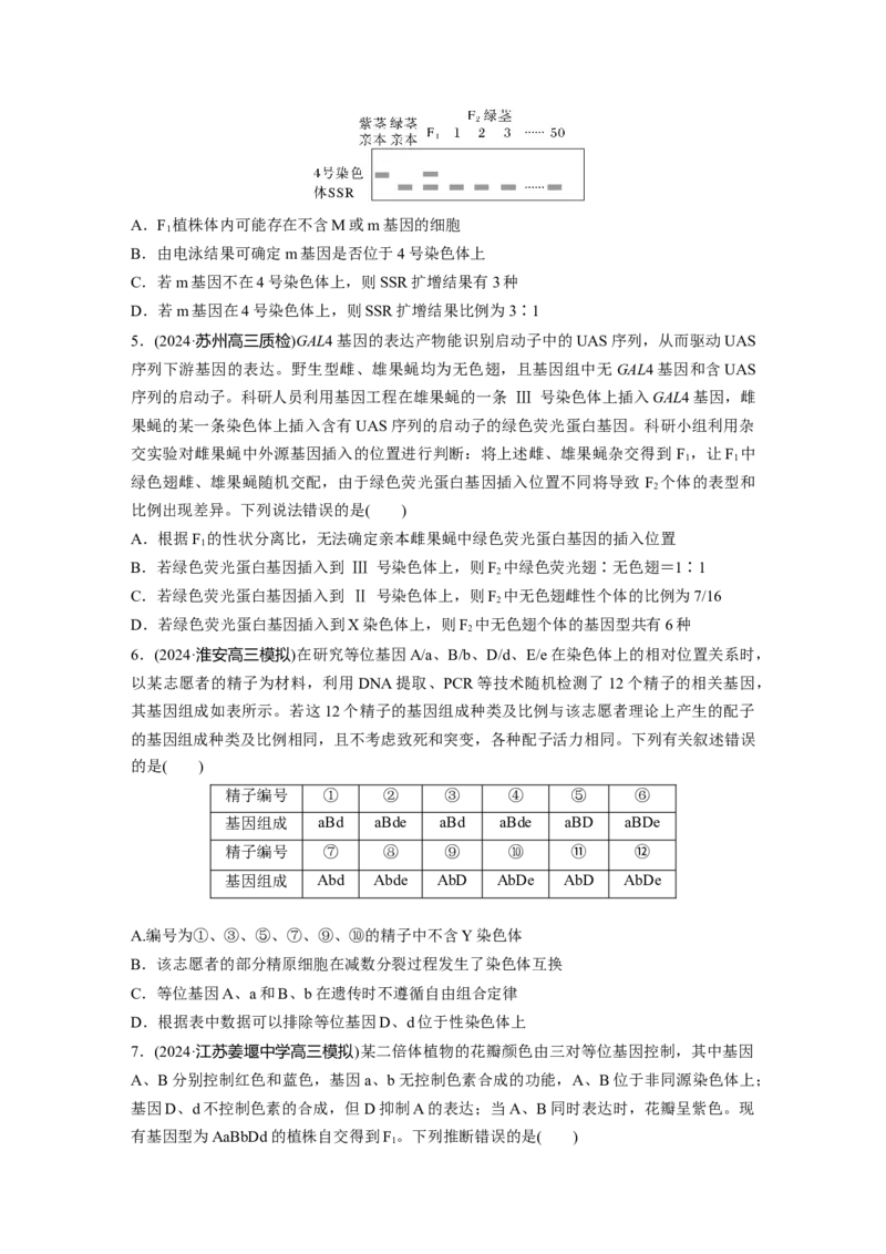 第五单元专题突破7探究不同对基因在常染色体上的位置_2025年新高考资料_一轮复习_2025大一轮复习讲义+课件（完结）_2025大一轮复习讲义生物学生用书Word版文档整书