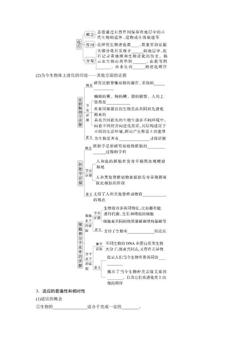 第七单元　第35课时　生物的进化_2025年新高考资料_一轮复习_2025大一轮复习讲义+课件（完结）_2025大一轮复习讲义生物学生用书Word版文档整书_2025大一轮复习讲义