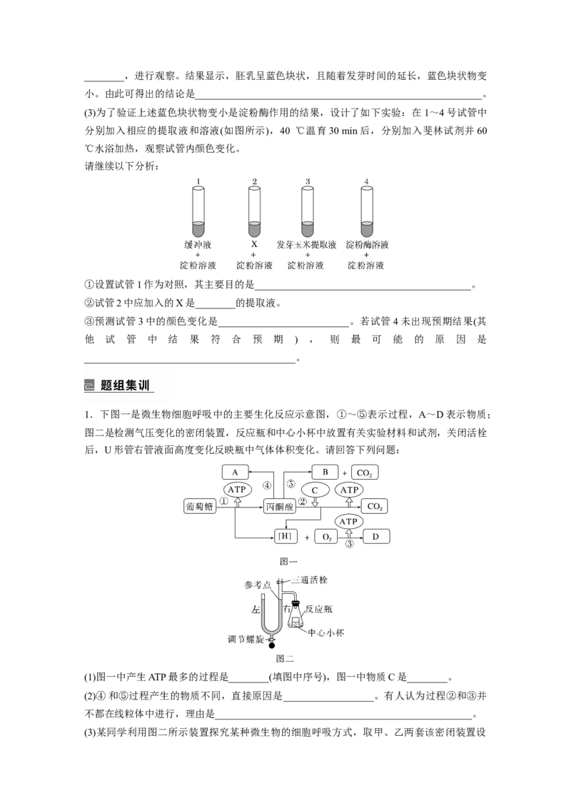 第一篇专题八考点三　实验步骤或思路的分析、设计与结果和结论预测_通用版（老高考）复习资料_2023年复习资料_二轮复习_2023年高考生物二轮复习讲义+课件（全国版）_学生版