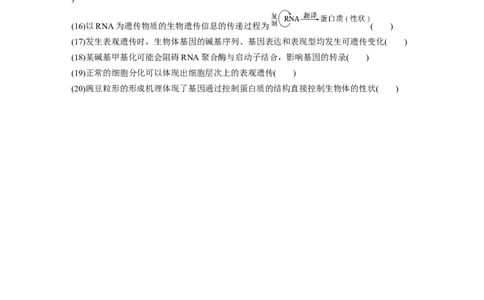 第二篇第一部分五、遗传的分子基础_通用版（老高考）复习资料_2023年复习资料_二轮复习_2023年高考生物二轮复习讲义+课件（全国版）_2023年高考生物二轮复习讲义（全国版）_学生版