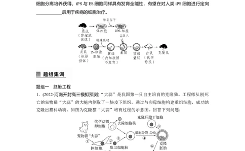 第一篇专题九考点三　胚胎工程、生物技术的安全性和伦理问题及生态工程_通用版（老高考）复习资料_2023年复习资料_二轮复习_2023年高考生物二轮复习讲义+课件（全国版）_学生版