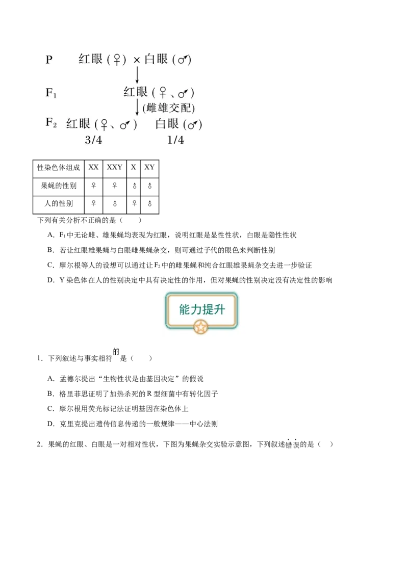 第4讲基因位于染色体上（原卷版）_通用版（老高考）复习资料_2024年复习资料_完备战2024年高考生物一轮复习考点帮（全国通用）_专题六基因的传递规律