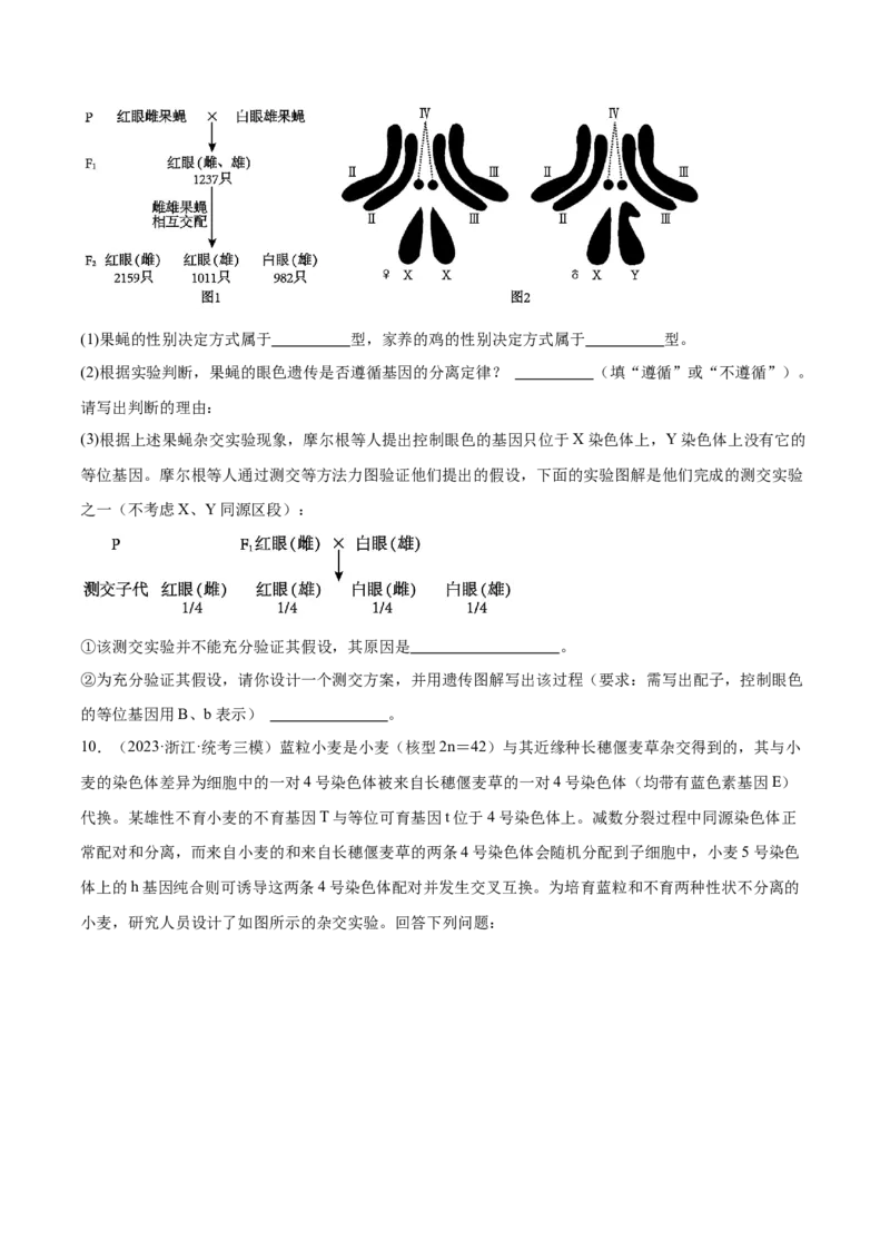 第4讲基因位于染色体上（原卷版）_通用版（老高考）复习资料_2024年复习资料_完备战2024年高考生物一轮复习考点帮（全国通用）_专题六基因的传递规律