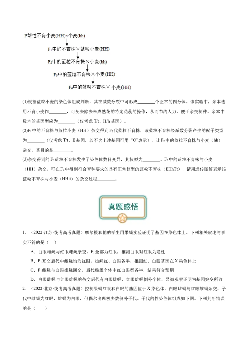 第4讲基因位于染色体上（原卷版）_通用版（老高考）复习资料_2024年复习资料_完备战2024年高考生物一轮复习考点帮（全国通用）_专题六基因的传递规律