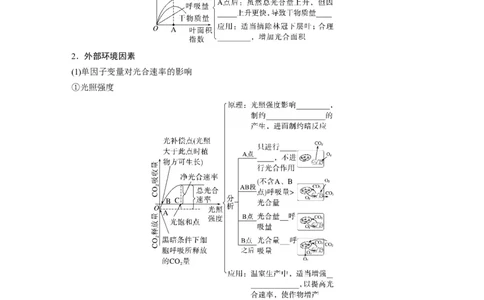 第三单元　第17课时　光合作用的影响因素及其应用_2025年新高考资料_一轮复习_2025大一轮复习讲义+课件（完结）_2025大一轮复习讲义生物学生用书Word版文档整书_2025大一轮复习讲义