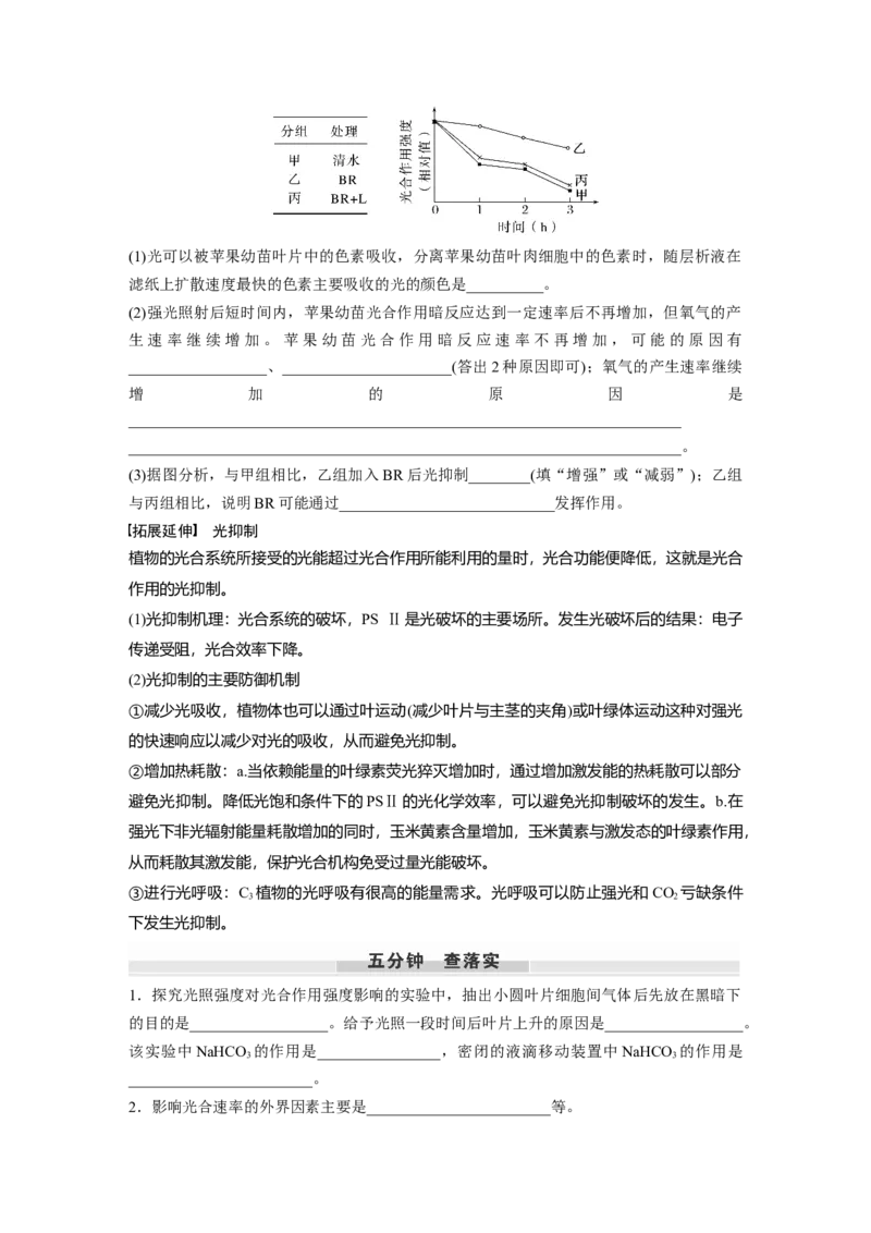 第三单元　第17课时　光合作用的影响因素及其应用_2025年新高考资料_一轮复习_2025大一轮复习讲义+课件（完结）_2025大一轮复习讲义生物学生用书Word版文档整书_2025大一轮复习讲义