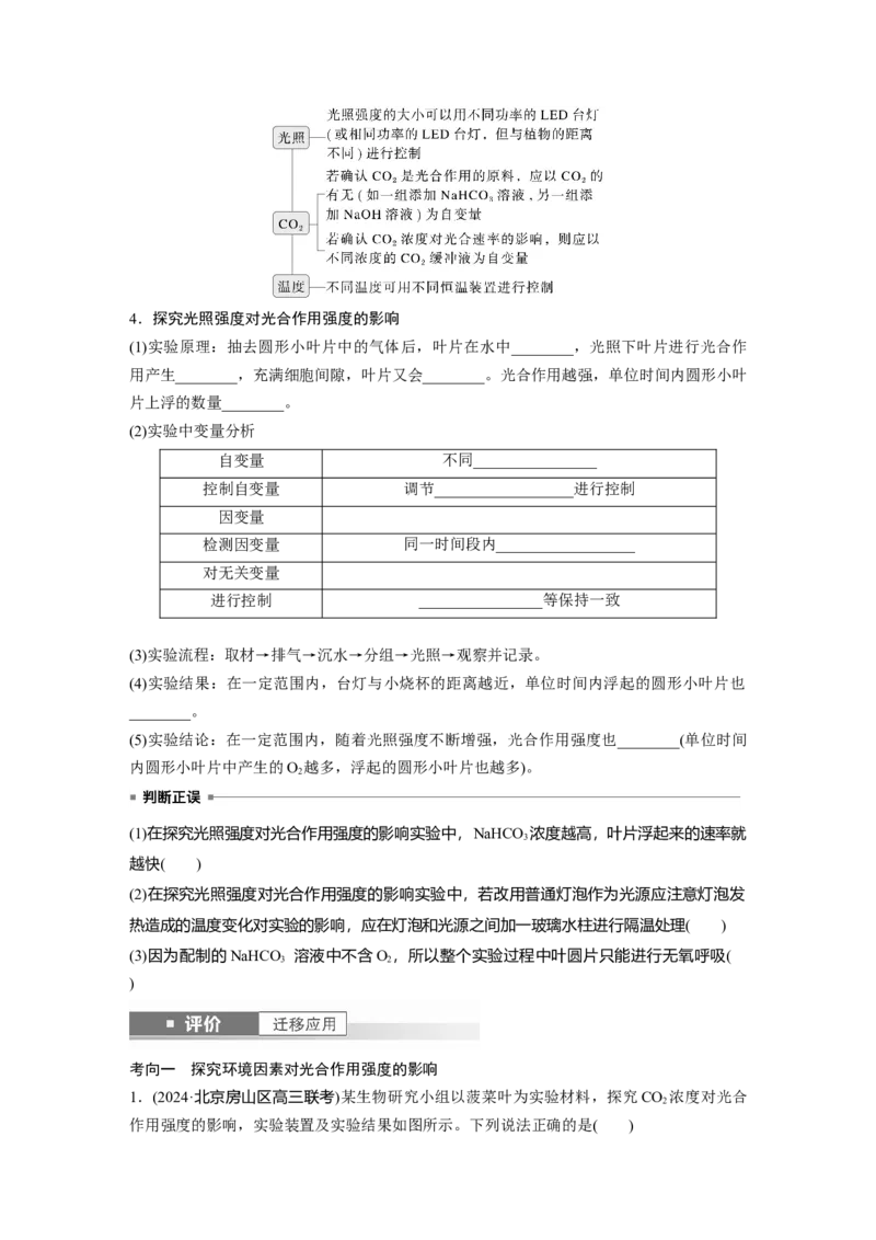 第三单元　第17课时　光合作用的影响因素及其应用_2025年新高考资料_一轮复习_2025大一轮复习讲义+课件（完结）_2025大一轮复习讲义生物学生用书Word版文档整书_2025大一轮复习讲义