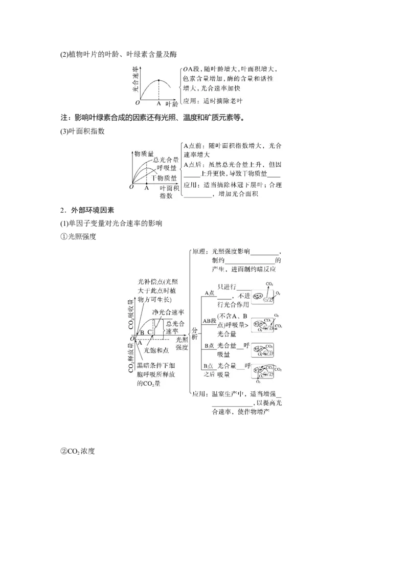 第三单元　第17课时　光合作用的影响因素及其应用_2025年新高考资料_一轮复习_2025大一轮复习讲义+课件（完结）_2025大一轮复习讲义生物学生用书Word版文档整书_2025大一轮复习讲义