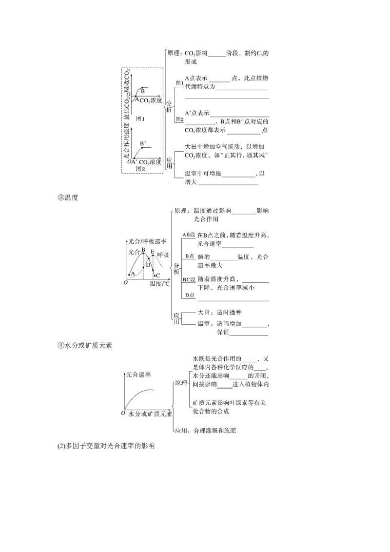 第三单元　第17课时　光合作用的影响因素及其应用_2025年新高考资料_一轮复习_2025大一轮复习讲义+课件（完结）_2025大一轮复习讲义生物学生用书Word版文档整书_2025大一轮复习讲义