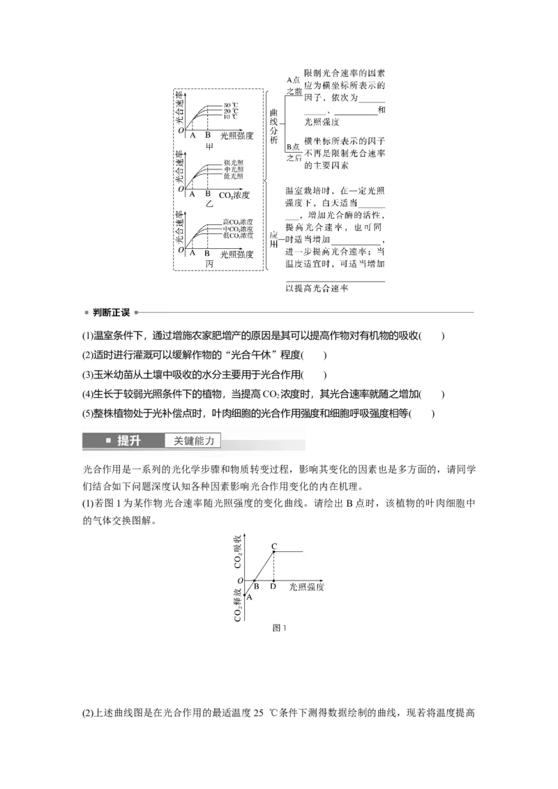 第三单元　第17课时　光合作用的影响因素及其应用_2025年新高考资料_一轮复习_2025大一轮复习讲义+课件（完结）_2025大一轮复习讲义生物学生用书Word版文档整书_2025大一轮复习讲义