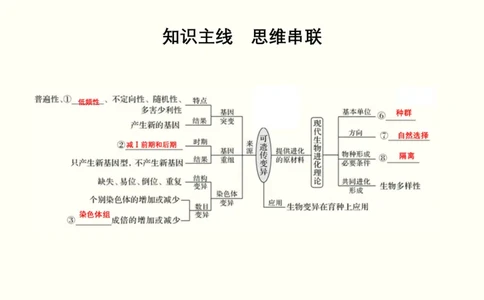 第八单元生物的变异、育种与进化（教案）_新高考复习资料_2022年新高考复习资料_2022届一轮复习讲练结合7.13更新_系列一_第八单元生物的变异、育种与进化