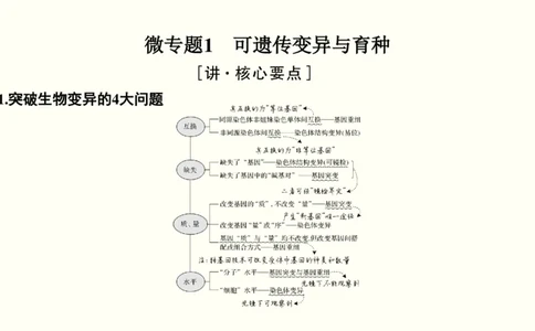 第八单元生物的变异、育种与进化（教案）_新高考复习资料_2022年新高考复习资料_2022届一轮复习讲练结合7.13更新_系列一_第八单元生物的变异、育种与进化