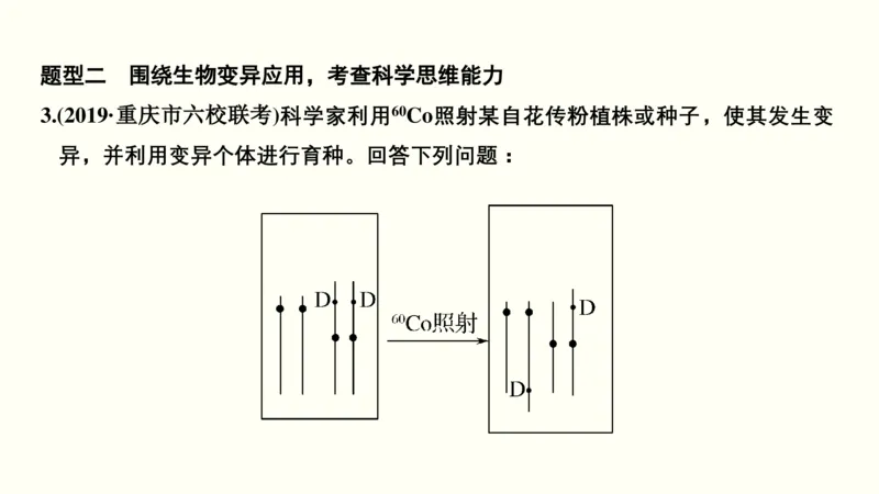 第八单元生物的变异、育种与进化（教案）_新高考复习资料_2022年新高考复习资料_2022届一轮复习讲练结合7.13更新_系列一_第八单元生物的变异、育种与进化