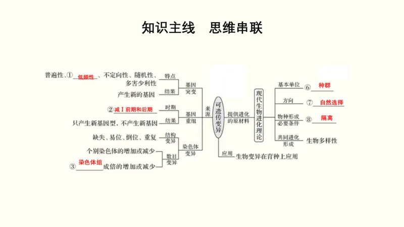 第八单元生物的变异、育种与进化（教案）_新高考复习资料_2022年新高考复习资料_2022届一轮复习讲练结合7.13更新_系列一_第八单元生物的变异、育种与进化