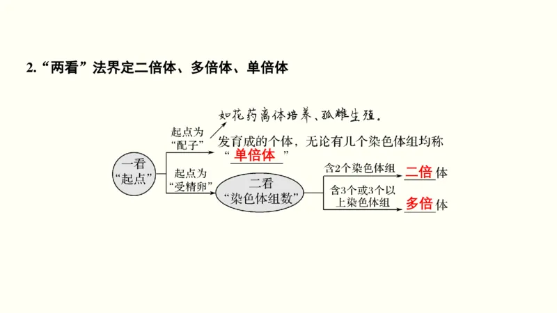 第八单元生物的变异、育种与进化（教案）_新高考复习资料_2022年新高考复习资料_2022届一轮复习讲练结合7.13更新_系列一_第八单元生物的变异、育种与进化