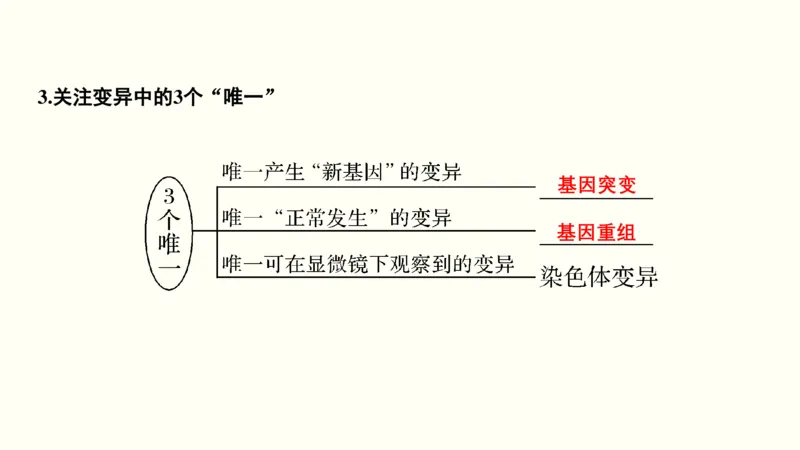 第八单元生物的变异、育种与进化（教案）_新高考复习资料_2022年新高考复习资料_2022届一轮复习讲练结合7.13更新_系列一_第八单元生物的变异、育种与进化