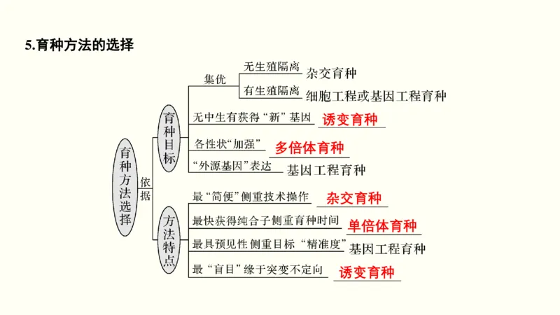 第八单元生物的变异、育种与进化（教案）_新高考复习资料_2022年新高考复习资料_2022届一轮复习讲练结合7.13更新_系列一_第八单元生物的变异、育种与进化