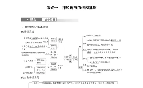第八单元　第37课时　神经调节的结构基础和基本方式_2025年新高考资料_一轮复习_2025大一轮复习讲义+课件（完结）_2025大一轮复习讲义生物教师用书Word版文档整书