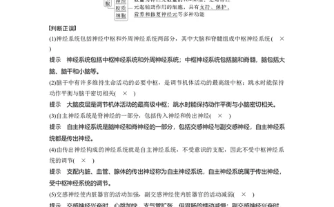第八单元　第37课时　神经调节的结构基础和基本方式_2025年新高考资料_一轮复习_2025大一轮复习讲义+课件（完结）_2025大一轮复习讲义生物教师用书Word版文档整书