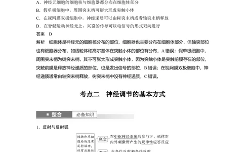 第八单元　第37课时　神经调节的结构基础和基本方式_2025年新高考资料_一轮复习_2025大一轮复习讲义+课件（完结）_2025大一轮复习讲义生物教师用书Word版文档整书