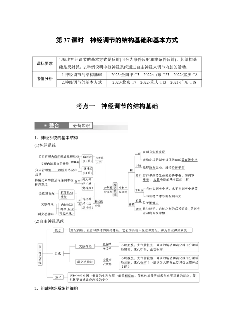 第八单元　第37课时　神经调节的结构基础和基本方式_2025年新高考资料_一轮复习_2025大一轮复习讲义+课件（完结）_2025大一轮复习讲义生物教师用书Word版文档整书