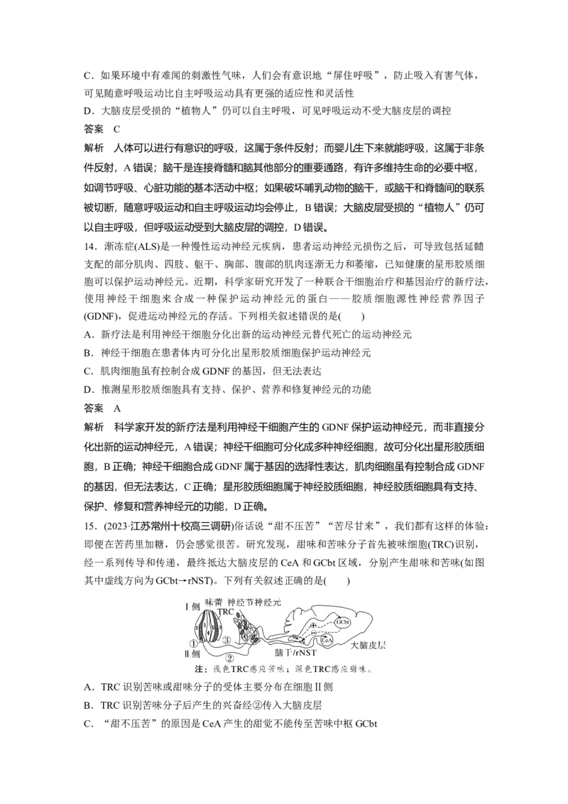 第八单元　第37课时　神经调节的结构基础和基本方式_2025年新高考资料_一轮复习_2025大一轮复习讲义+课件（完结）_2025大一轮复习讲义生物教师用书Word版文档整书