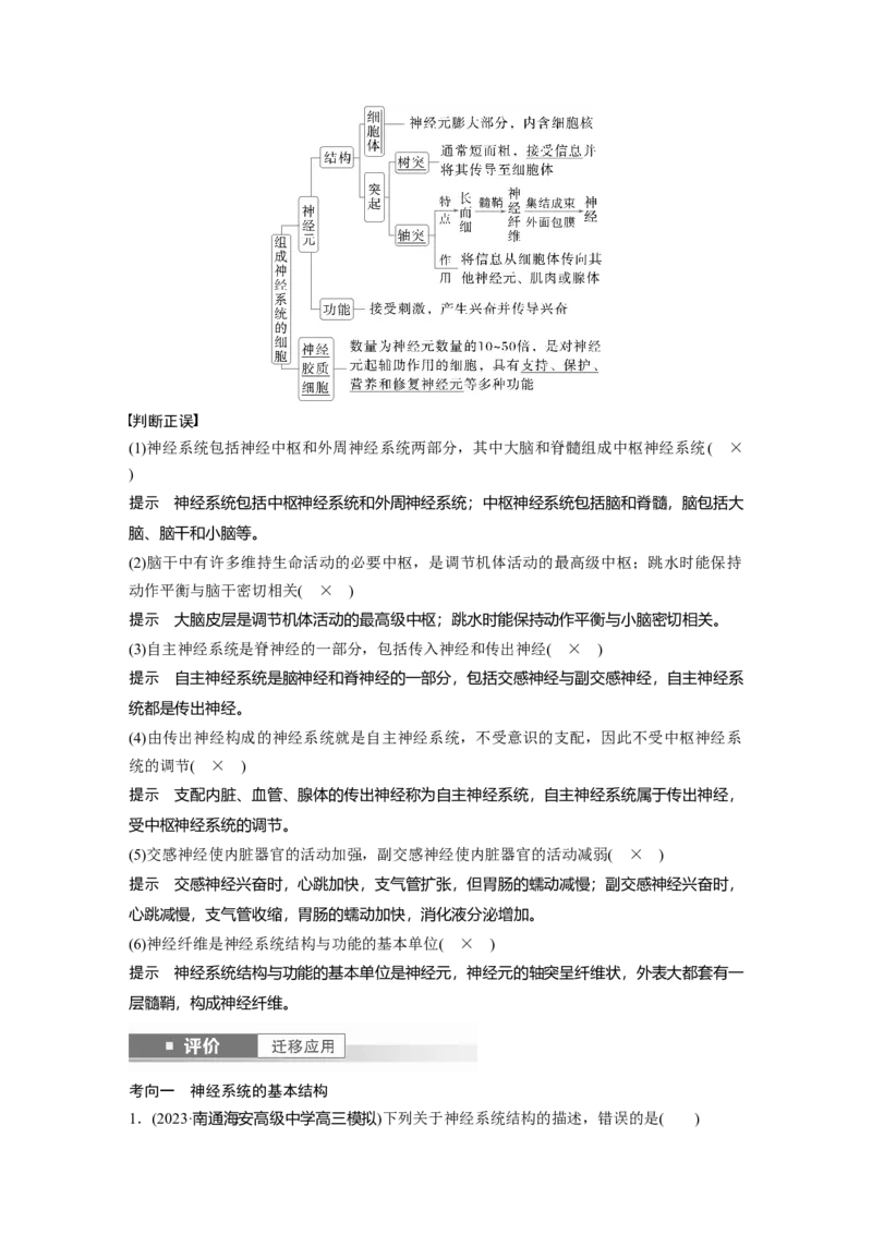 第八单元　第37课时　神经调节的结构基础和基本方式_2025年新高考资料_一轮复习_2025大一轮复习讲义+课件（完结）_2025大一轮复习讲义生物教师用书Word版文档整书