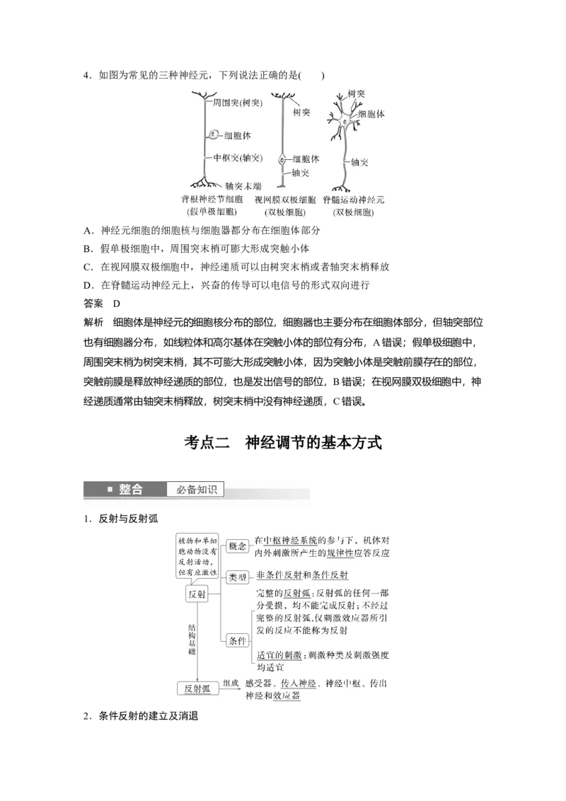 第八单元　第37课时　神经调节的结构基础和基本方式_2025年新高考资料_一轮复习_2025大一轮复习讲义+课件（完结）_2025大一轮复习讲义生物教师用书Word版文档整书