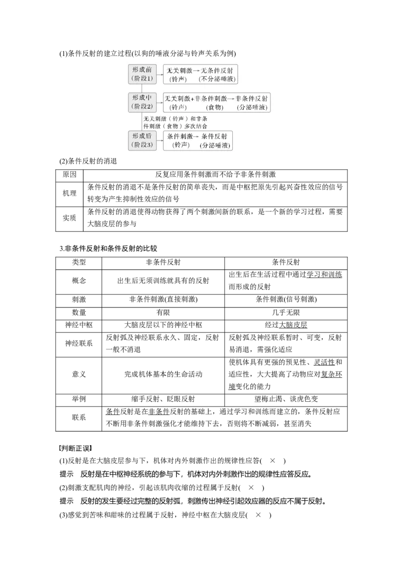 第八单元　第37课时　神经调节的结构基础和基本方式_2025年新高考资料_一轮复习_2025大一轮复习讲义+课件（完结）_2025大一轮复习讲义生物教师用书Word版文档整书