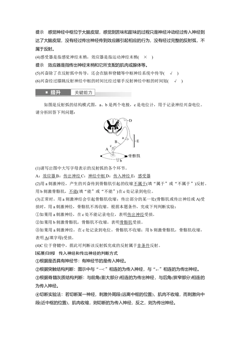 第八单元　第37课时　神经调节的结构基础和基本方式_2025年新高考资料_一轮复习_2025大一轮复习讲义+课件（完结）_2025大一轮复习讲义生物教师用书Word版文档整书