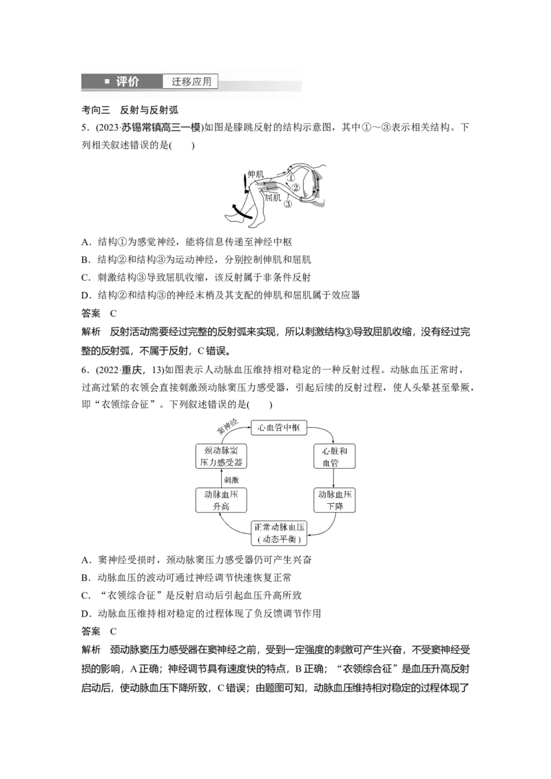 第八单元　第37课时　神经调节的结构基础和基本方式_2025年新高考资料_一轮复习_2025大一轮复习讲义+课件（完结）_2025大一轮复习讲义生物教师用书Word版文档整书